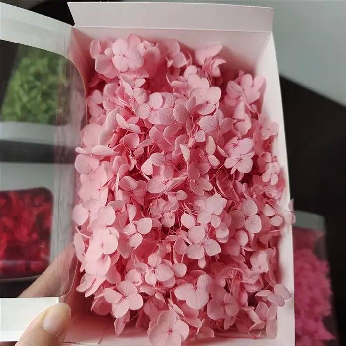 Fleurs d'hortensia séchées 20g