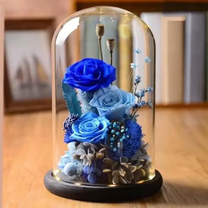 Présentoir en Verre Transparent avec Base en Bois pour Décoration
