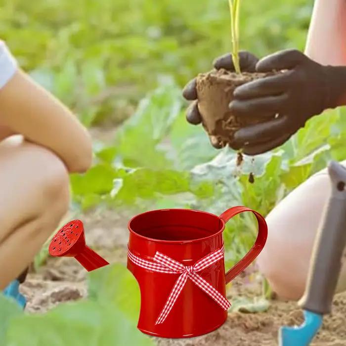 Arrosoir compact 1L avec tête de pulvérisation