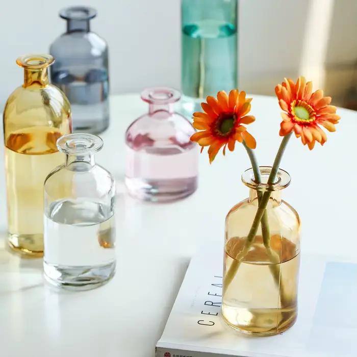 Vase en verre Transparent pour fleurs séchées, Style nordique Ins, accessoires de décoration pour la maison