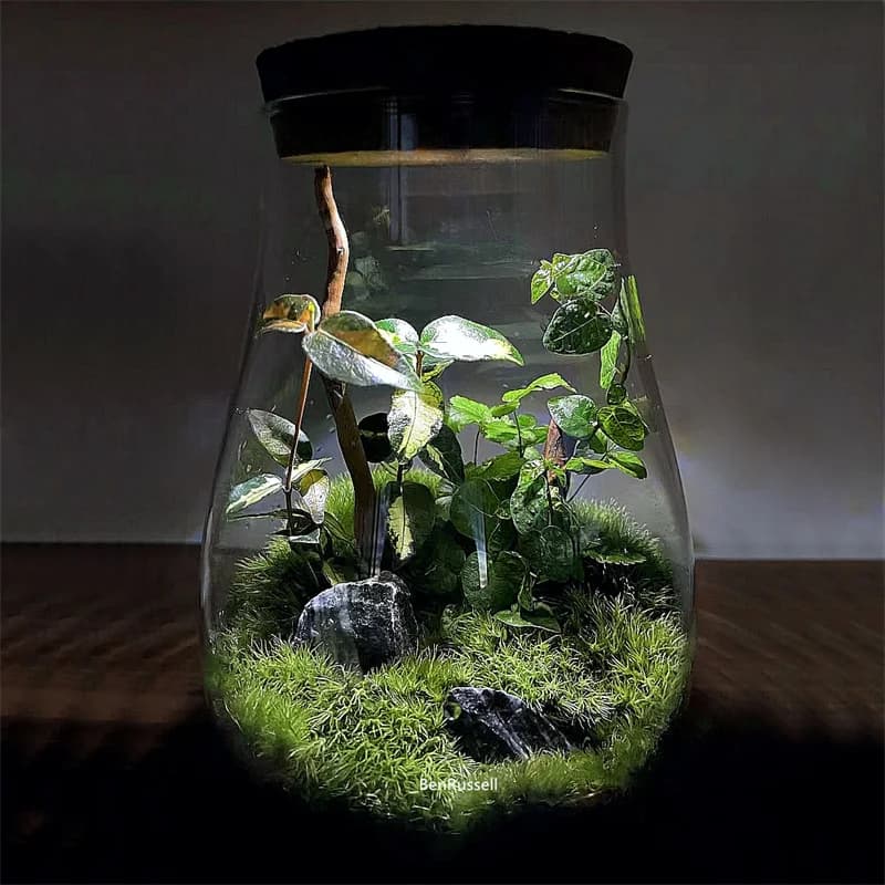 Pots en verre en forme de gouttelettes d'eau, Micro Vase en verre écologique de paysage avec liège, 
