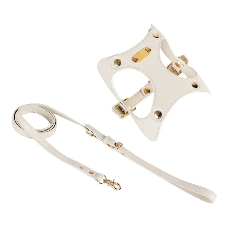 Ensemble de laisse SFP en cuir souple pour animaux de compagnie, étanche, réglable, petit chien, acc