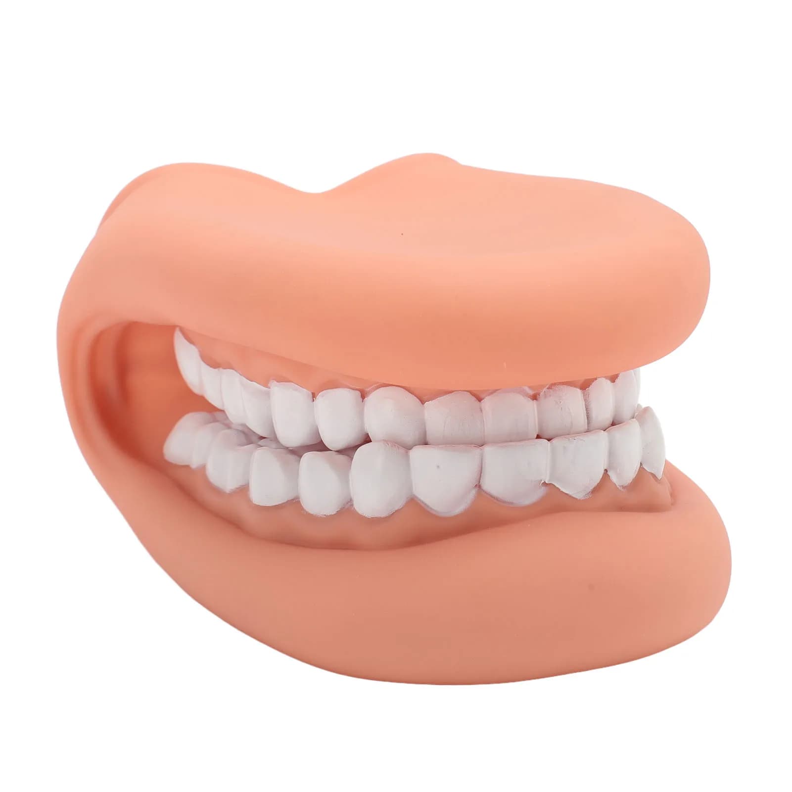 Marionnette à bouche en silicone avec langue pour enfants, modèle de bouche de thérapie du discours,