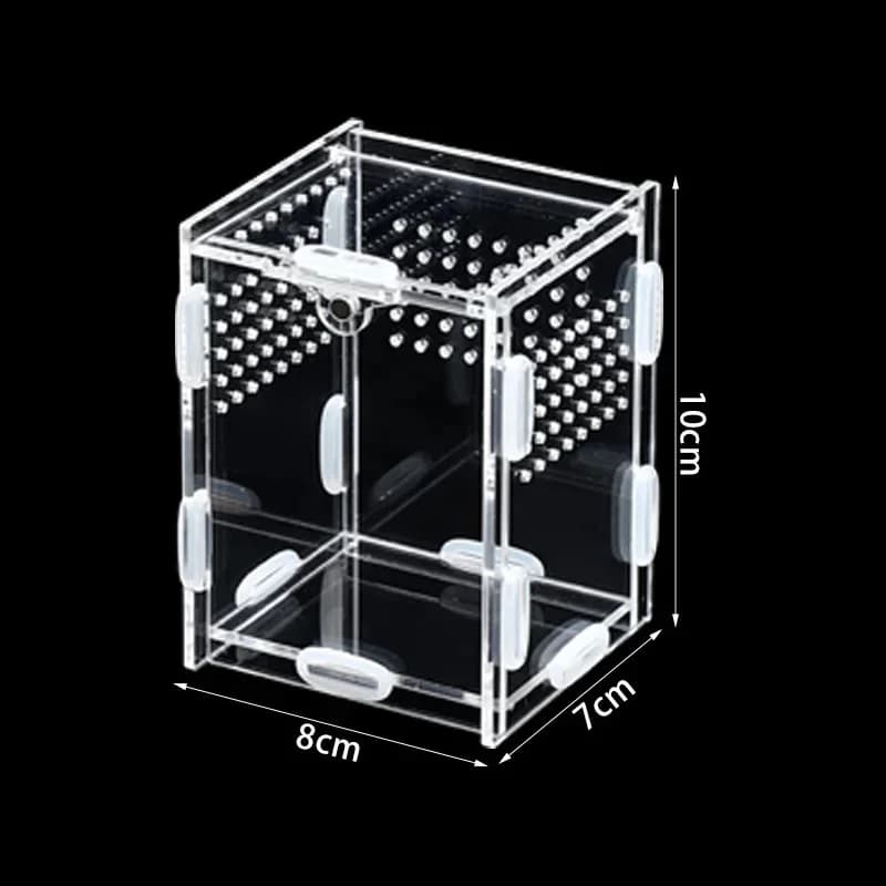 Kit d'assemblage de terrarium transparent en acrylique pour insectes, reptiles, animaux de compagnie