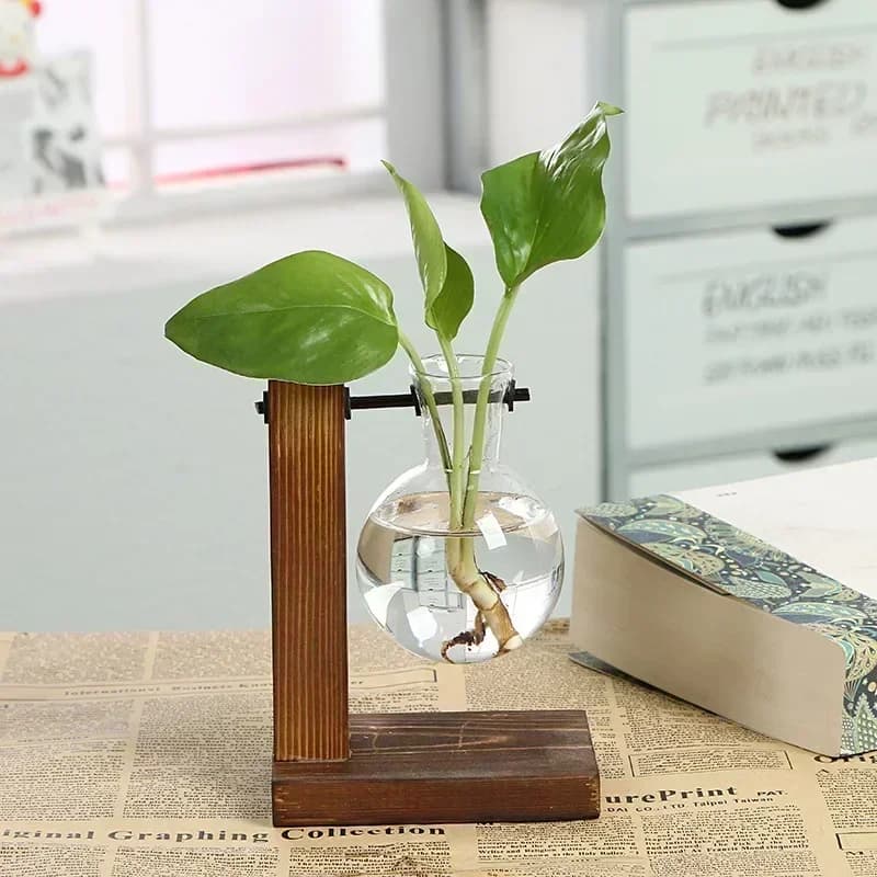 Terrariums et Vases Hydroponiques : Pot de Fleurs Vintage, Vase Transparent avec Cadre en Bois, Déco