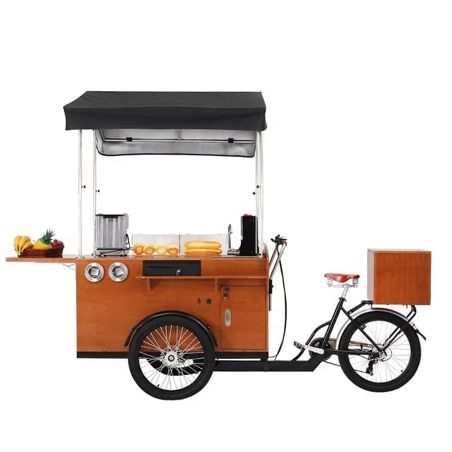 Vélo électrique à 3 roues avec toit en cuir en acier inoxydable, vélo à café mobile extérieur