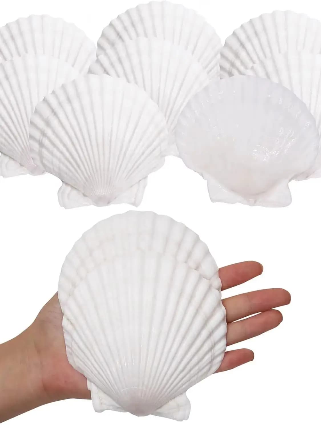 10 coquilles de pétoncle grandes, décorations graffiti DIY faites à la main, décoration intérieure, 