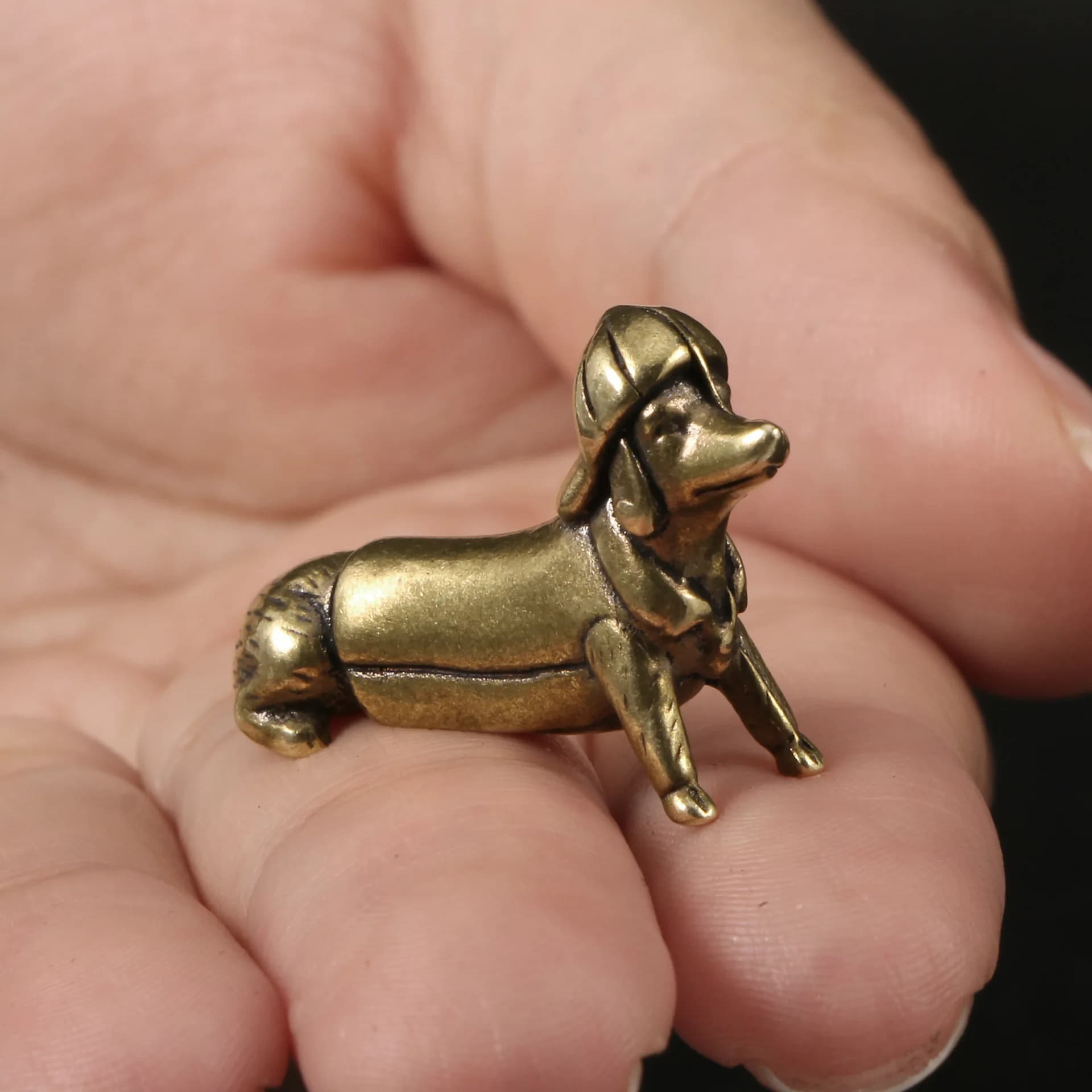 Figurines décoratives en laiton pour chien de compagnie, teckel, animaux mignons, décoration de bure