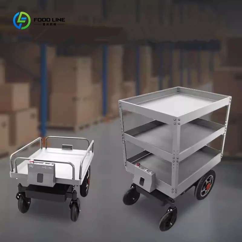 Robot de transport électrique en acier personnalisé de 100 kg pour charges lourdes, logistique d'usi