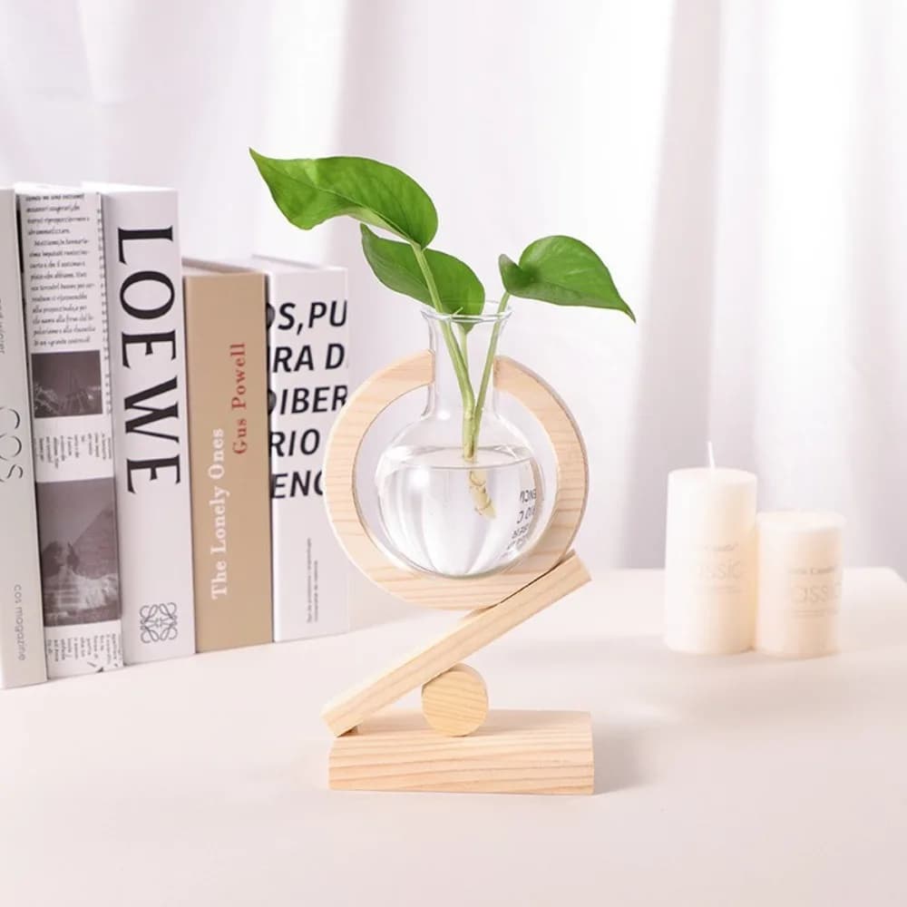 Plantes hydroponiques créatives, verre Transparent, cadre en bois, Vase, plante de lierre vert, déco