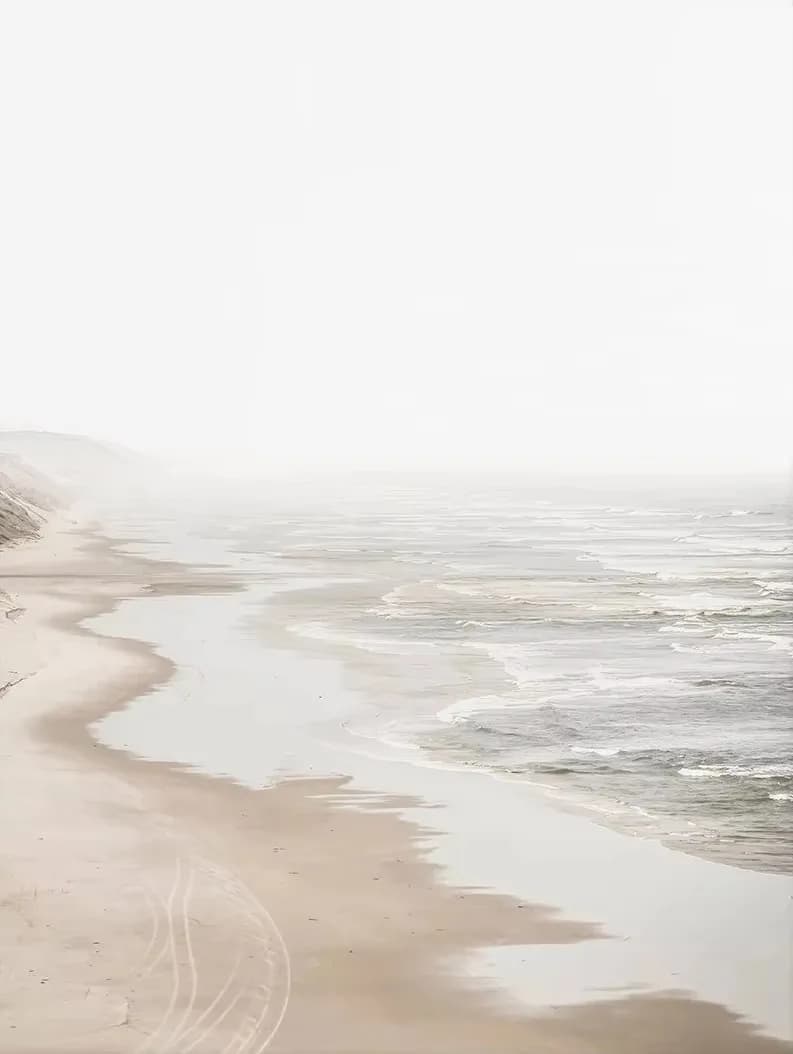 Boho neutre plage côtière Pampas herbe océan paysage minimaliste mur Art affiche impression toile pe