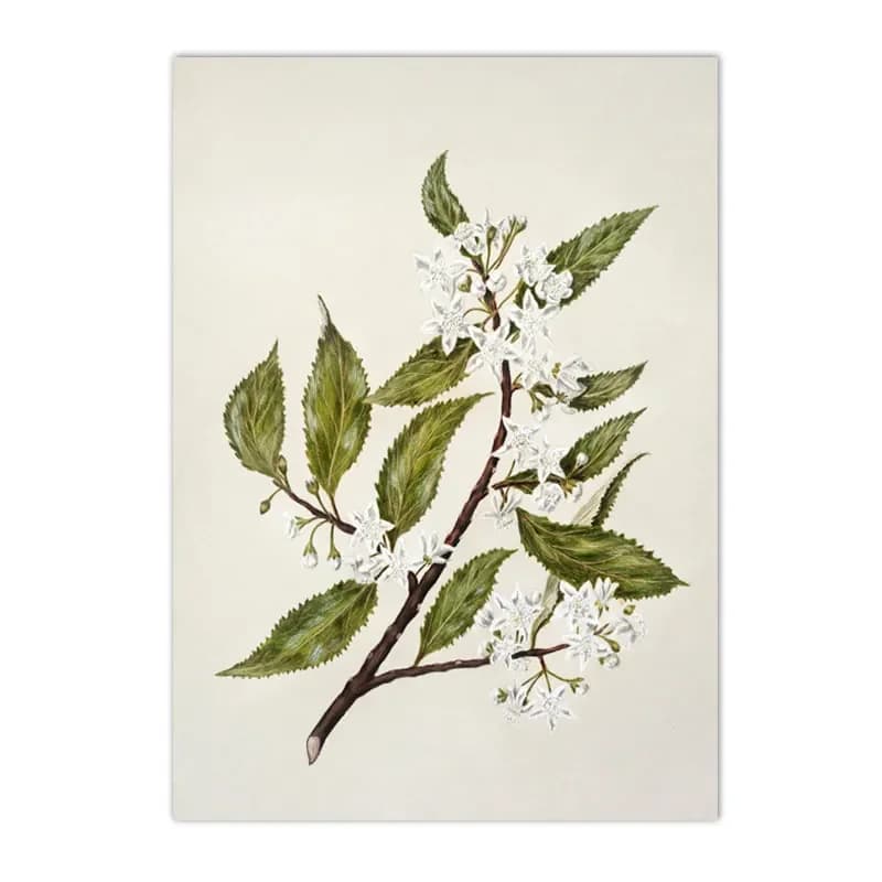 Peinture sur toile murale paysagère vintage style campagne française, affiche de fleurs, impression 
