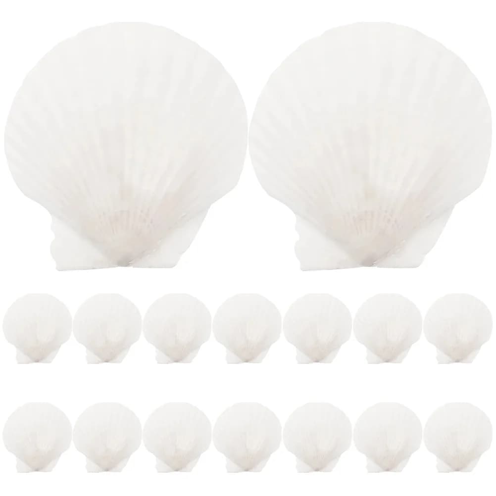 16 coquillages plats naturels, grandes coquilles Saint-Jacques, fournitures de bricolage pour la pei