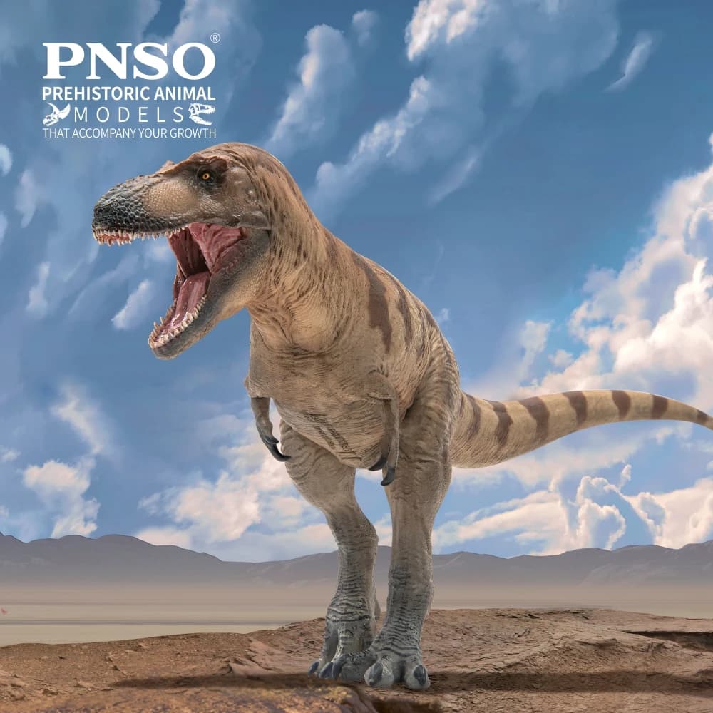 Modèles de dinosaures préhistoriques PNSO : 73 Colethe Daspletosaurus