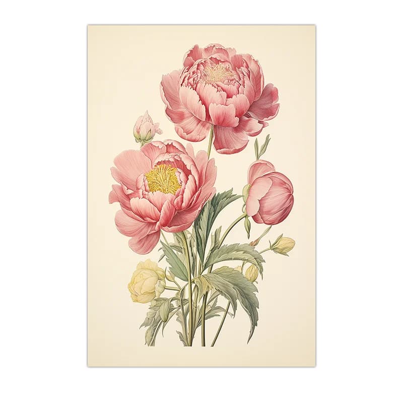 Art mural vintage, peinture sur toile de pivoine botanique, affiche illustrée florale rose pour déco