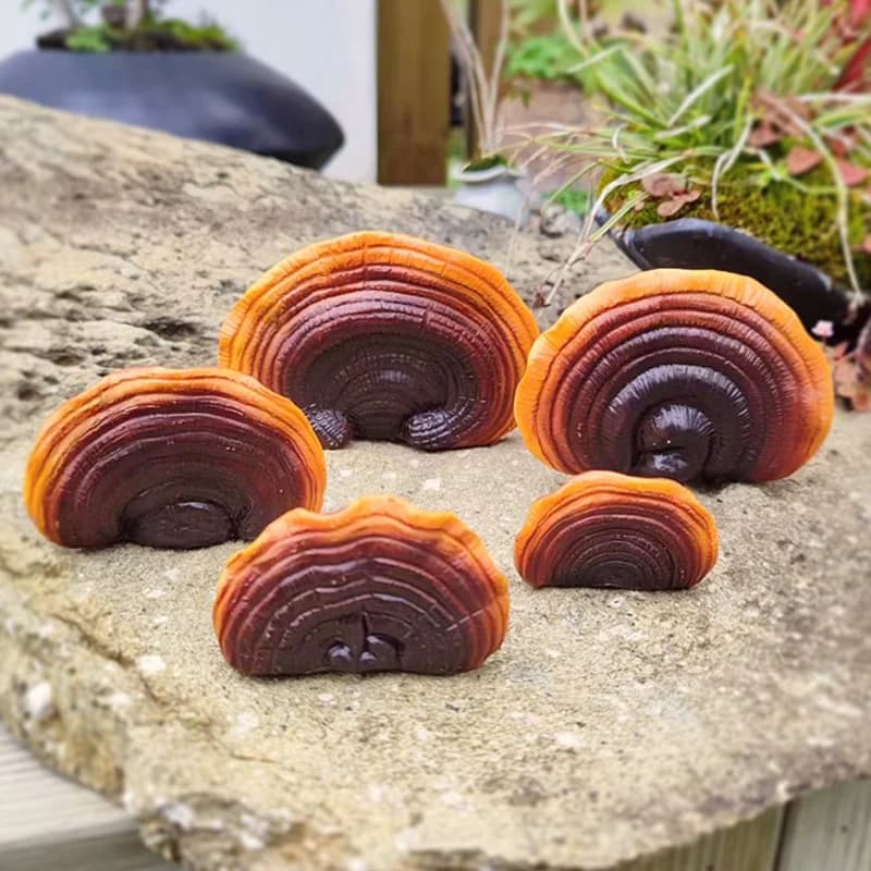 Décor créatif Ganoderma en résine, ornement de souche d'arbre, décor de jardin extérieur, fourniture