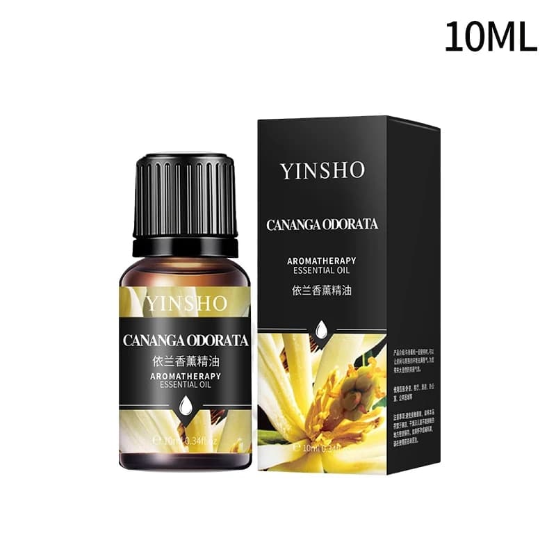 Huile Essentielle pour Diffuseur de sexuellement, Aromathérapie, Regina Candle, DIY Aroma, Rotterdam