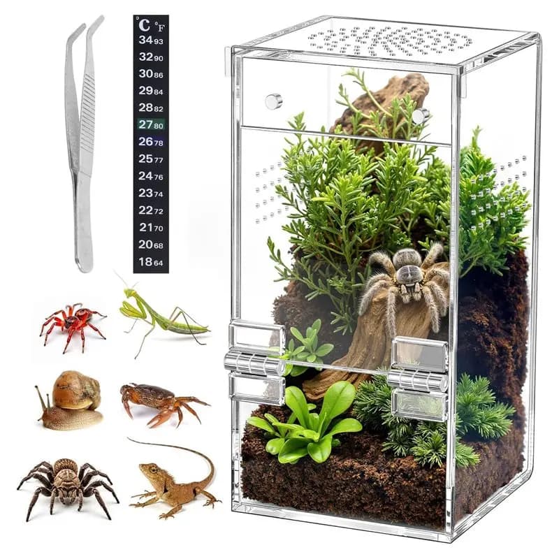 [A93Z!】 Terrarium pour reptiles en acrylique 360 °   Structure transparente, facile à assembler et s