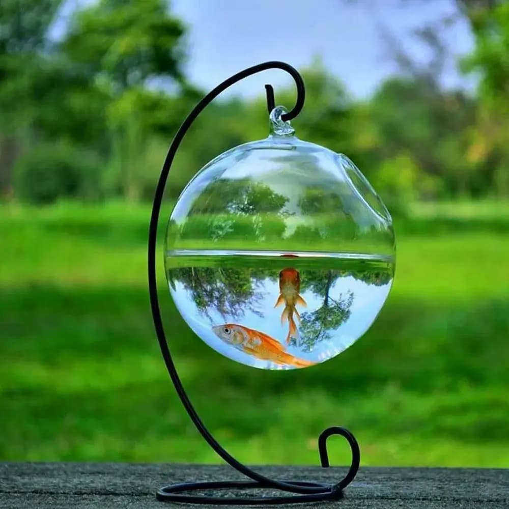 Vase hydroponique avec support mural, décoration d'aquarium, ornement de vase, aquarium suspendu, bo