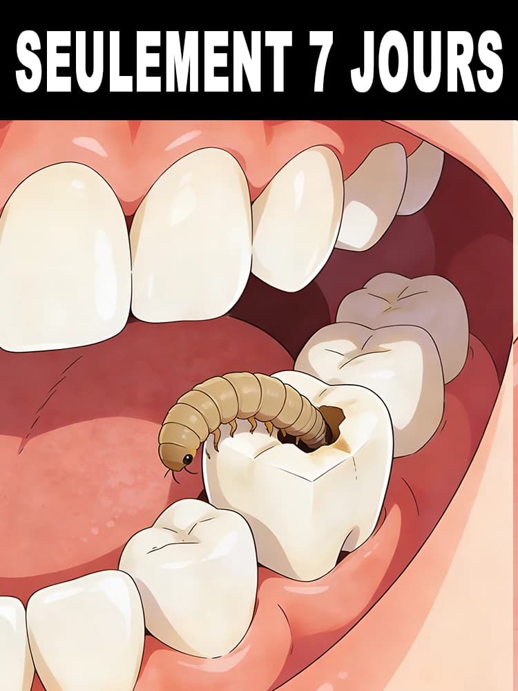 Les offres à durée limitée sont maintenant disponibles! Protégez vos dents en famille pour un meille