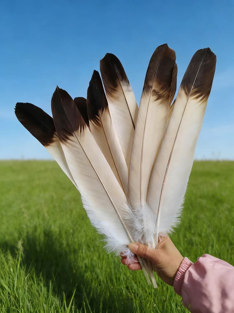 Lot de 10 Plumes d'Aigle Naturelles de 40-50 cm, Grandes Plumes d'Oiseau, Plumes de Faucon Décoratives pour DIY et Spectacles Scéniques