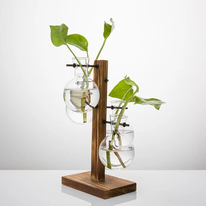 Vase en verre pour plantes hydroponiques, plante de bureau moderne, Terrarium, planteur, ampoule, plantation d'eau, jardinières de propagation, plantes hydroponiques