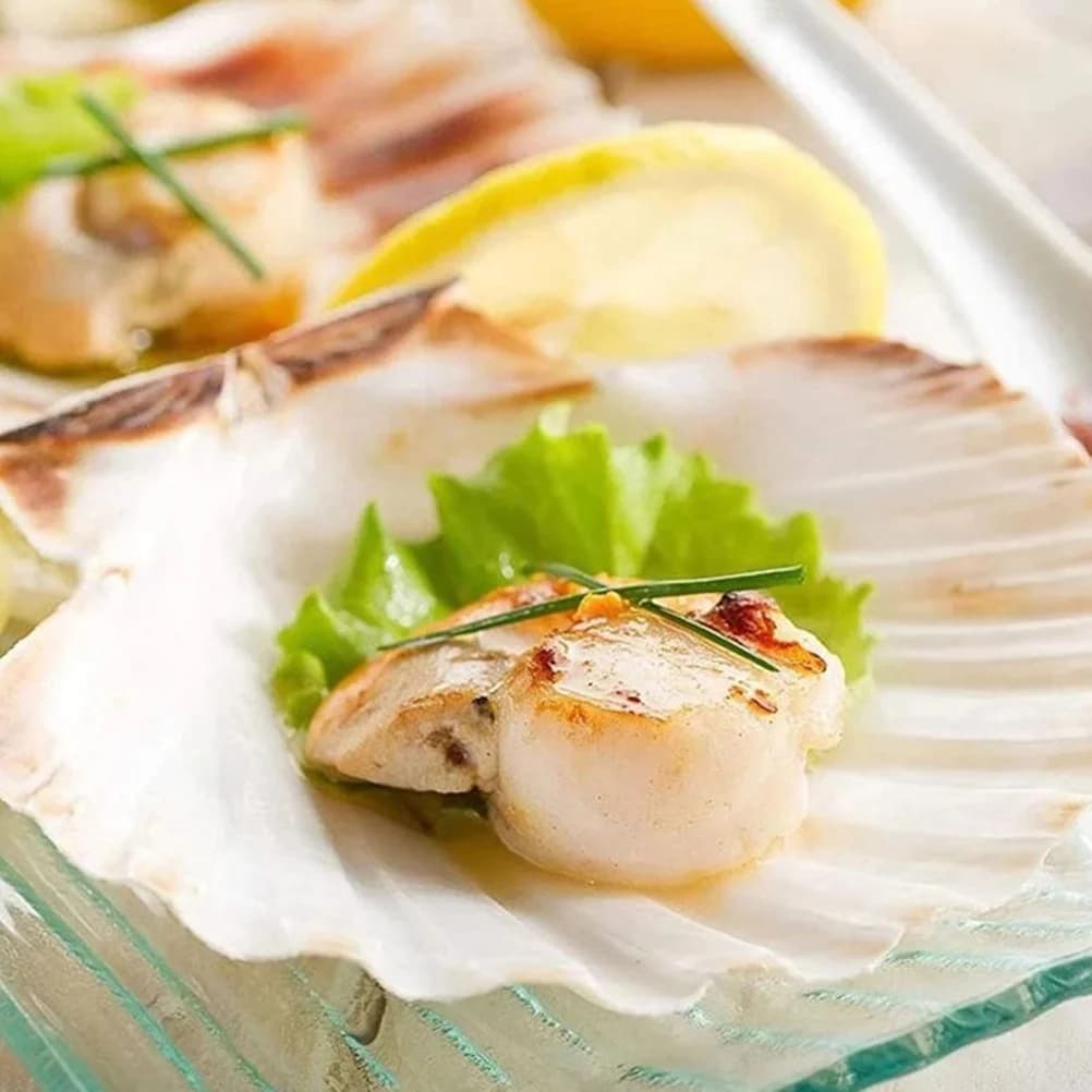 16 coquillages plats naturels