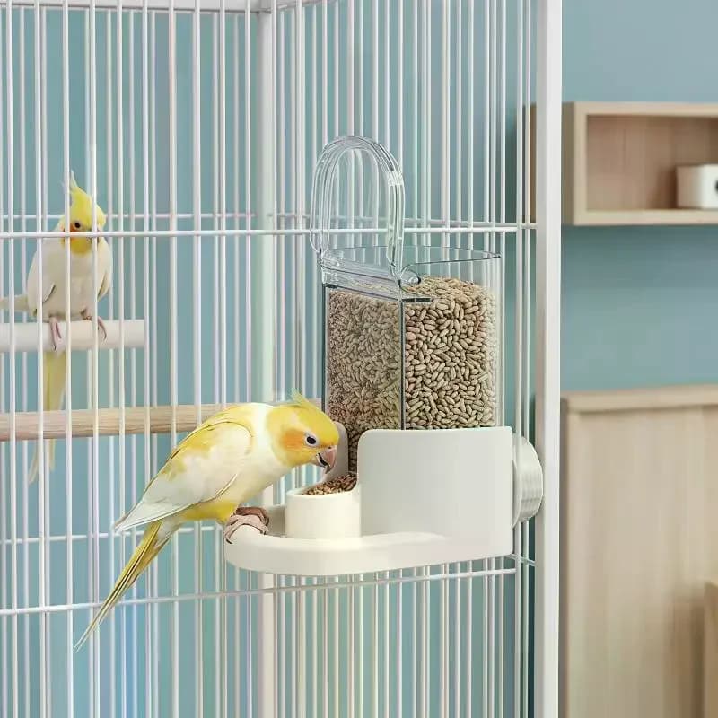 Abreuvoir automatique pour oiseaux, distributeur d'eau hygiénique et anti-poussière, accessoire de cage à oiseaux pour la période d'élevage des perroquets, soins des oiseaux domestiques