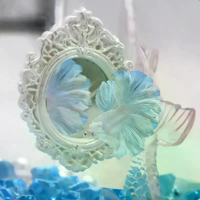 Miroir d'entraînement pour Betta, Décoration d'aquarium flottante, Cadre vintage, pour l'exercice des poissons de combat, Ornement d'enrichissement paysager pour aquarium