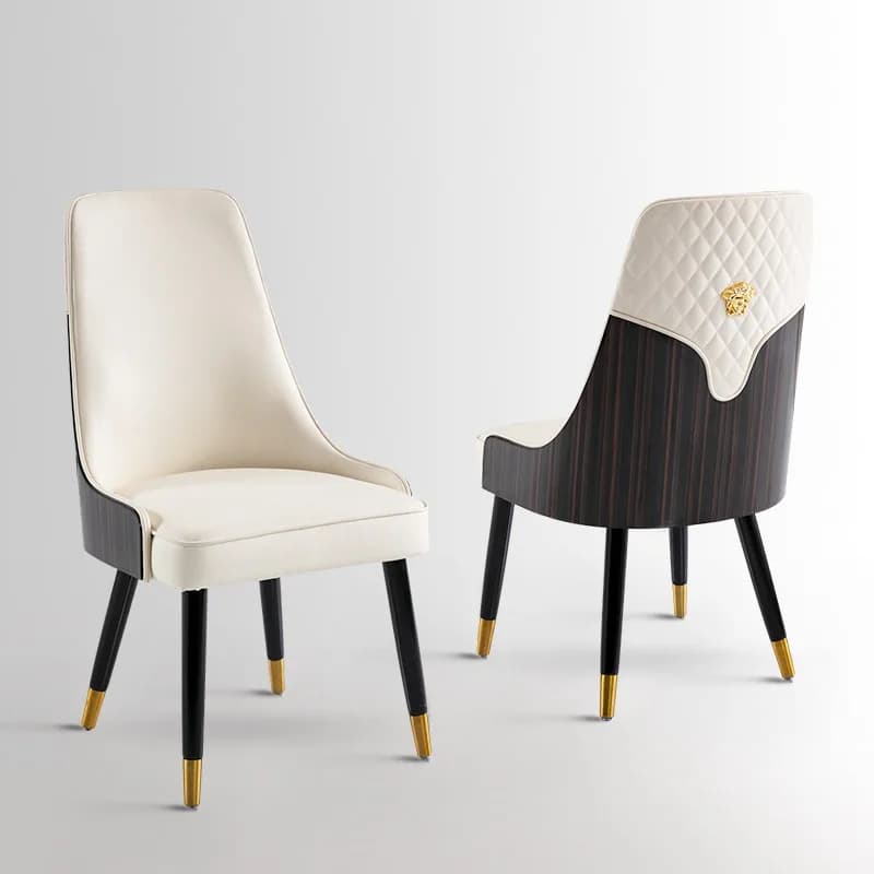 Chaises de salle à manger modernes et confortables, chaise de salle à manger individuelle minimaliste pour cuisine, mobilier de salle d'attente et de salon