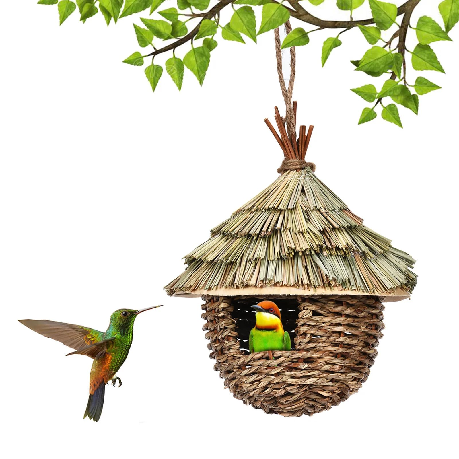 Nid d'oiseaux Cage à oiseaux herbe naturelle