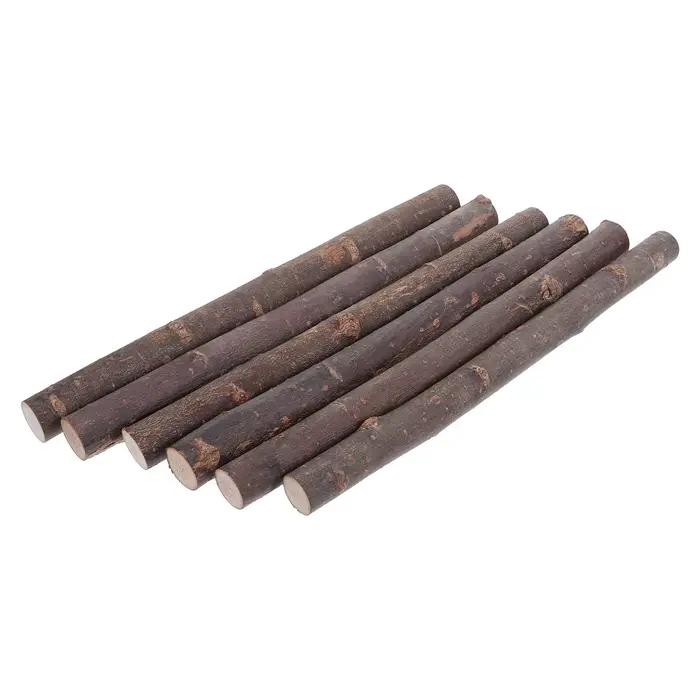 6 brins de bouleau séchés