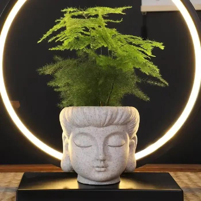 Statuette de tête de Bouddha en résine pour décoration intérieure, vase miniature pour plantes vertes, élément de décoration zen pour bureau et maison