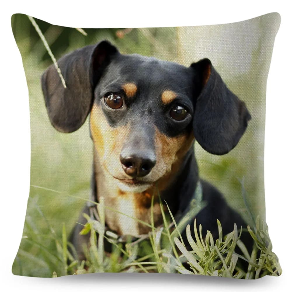Housse de coussin Mini chien teckel, taie d'oreiller en Polyester, décor d'animaux de compagnie, pou