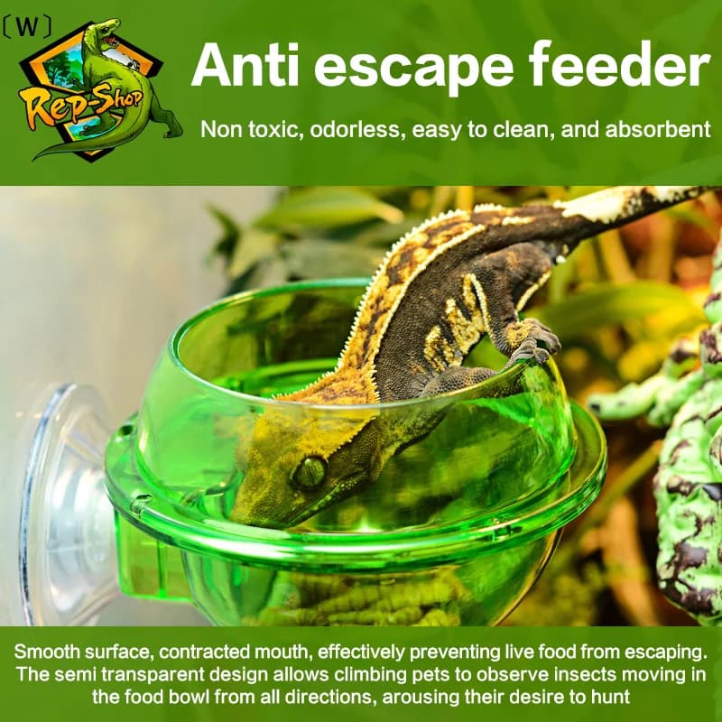 、1alwaArboréal Reptile Live Anti-évasion ventouse mangeoire bol insecte ver récipient alimentaire po