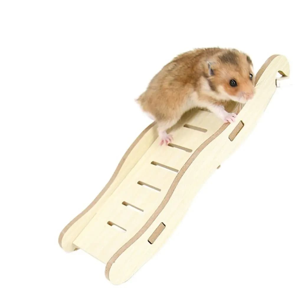 Échelle en bois en forme de vague pour hamster, pont suspendu, échelle d'escalade décorative pour an