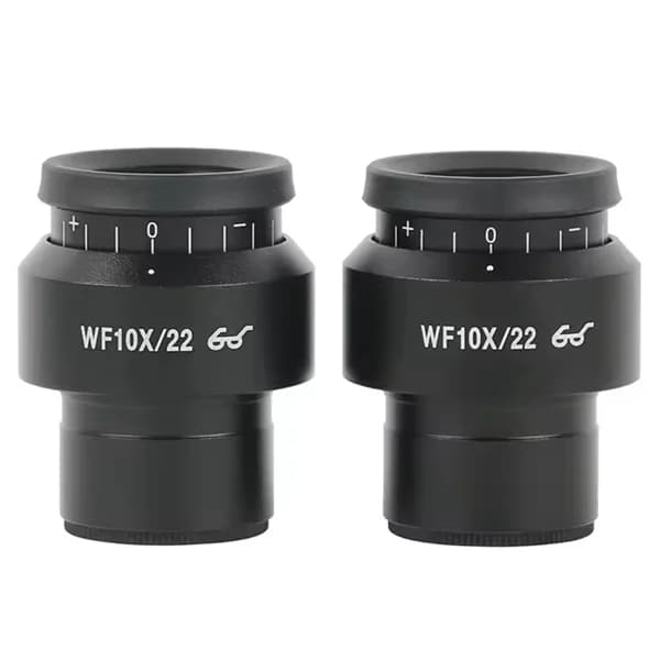 Remise 2 pièces WF10X/22 Microscope oculaire grand Angle oculaire oculaire lentille réglable champ 3
