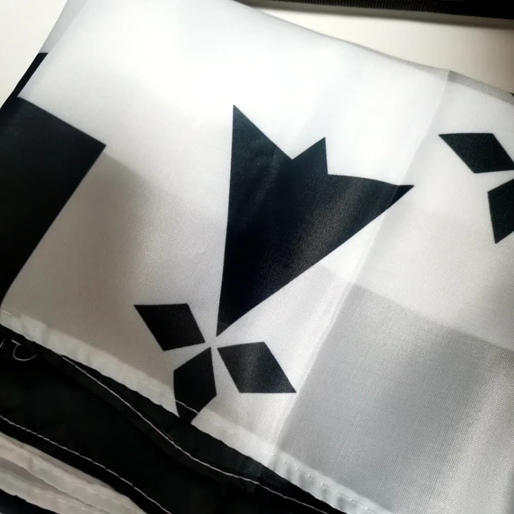Drapeau Bretagne Breizh Bretagne 90x150cm Polyester de qualité supérieure - Bannière celtique extérieure/intérieure pour Festivals, décoration de jardin